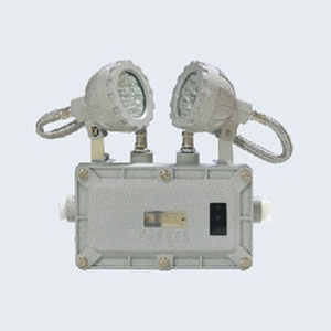 JYW-ZFZD-E6W-BXW6229系列消防应急照明灯具